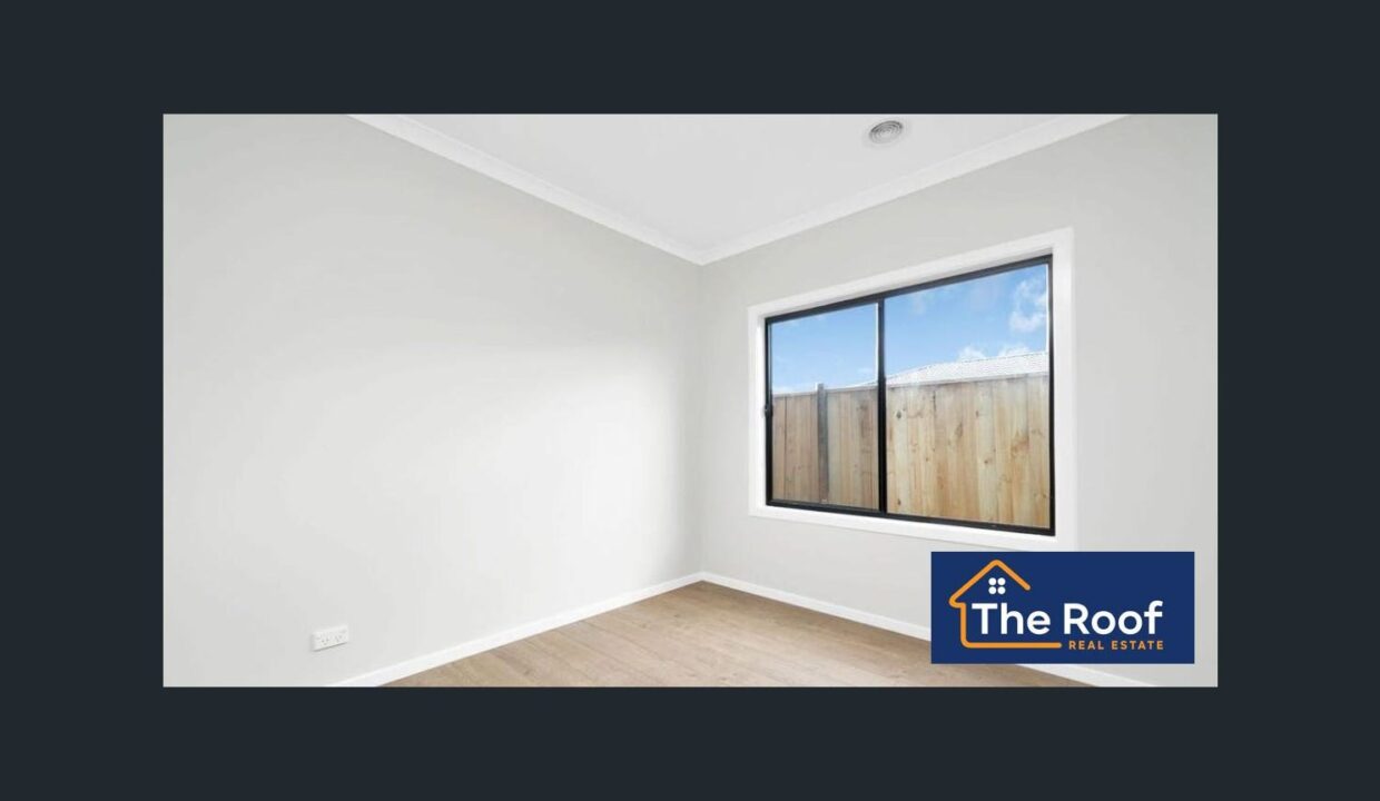 127834314__1733797901-160381-image1