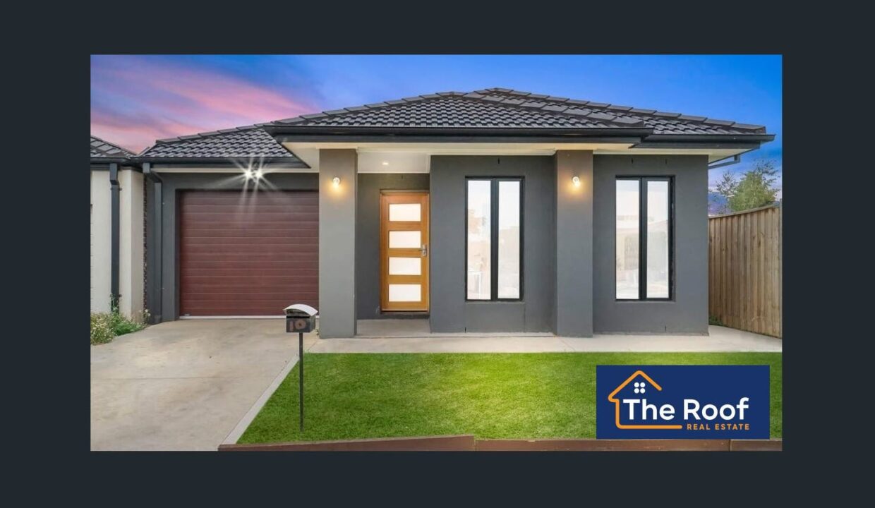 127834334__1733797903-159769-image