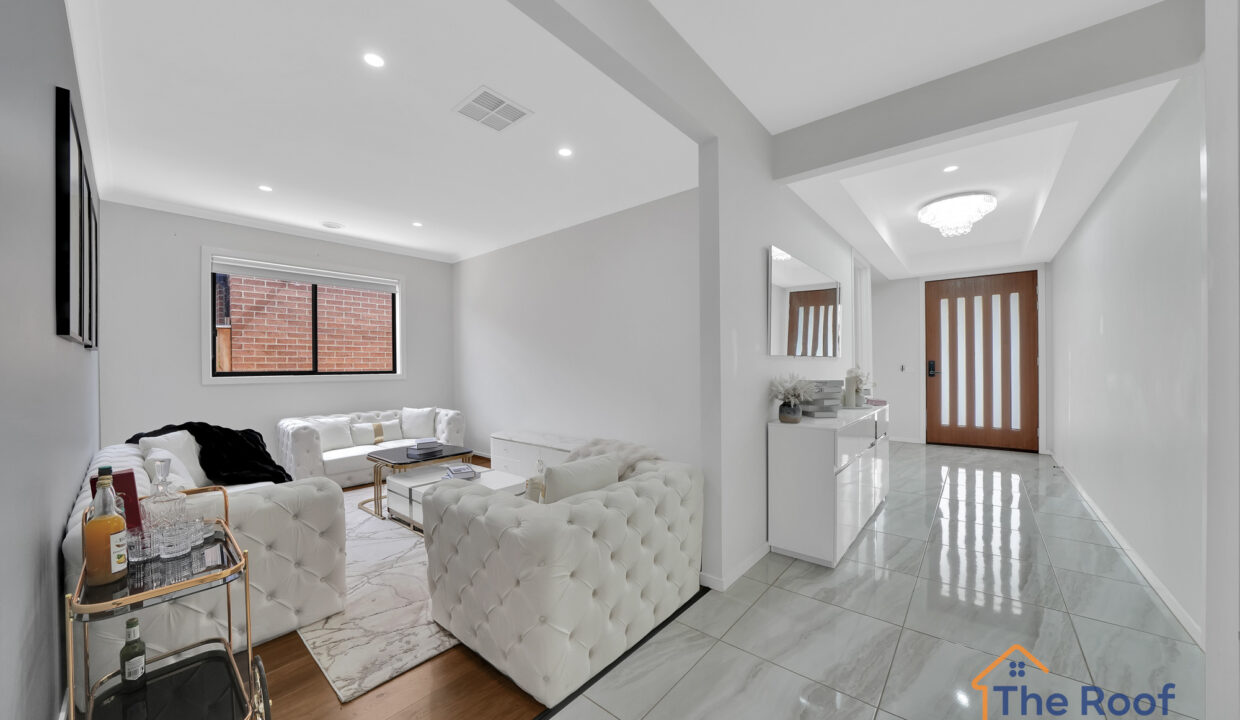 129158985__1734500723-181319-03