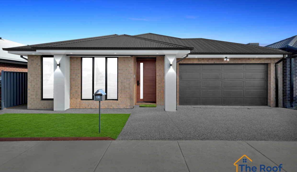 135298449__1739341647-183176-20GRASS