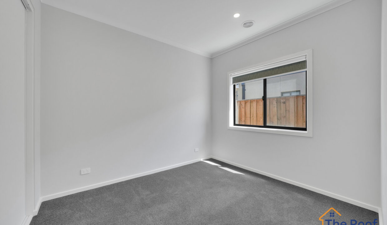 137236622__1740542674-164309-02