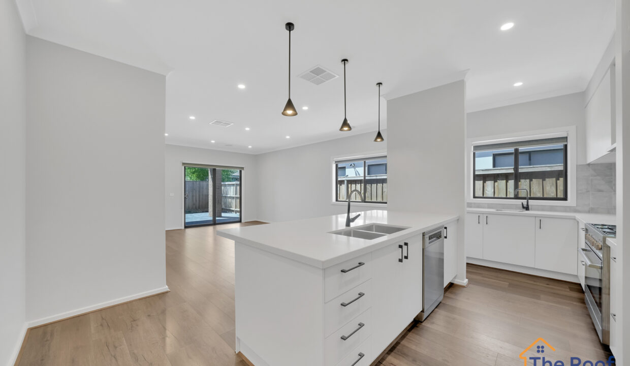 137236667__1740542683-164161-08