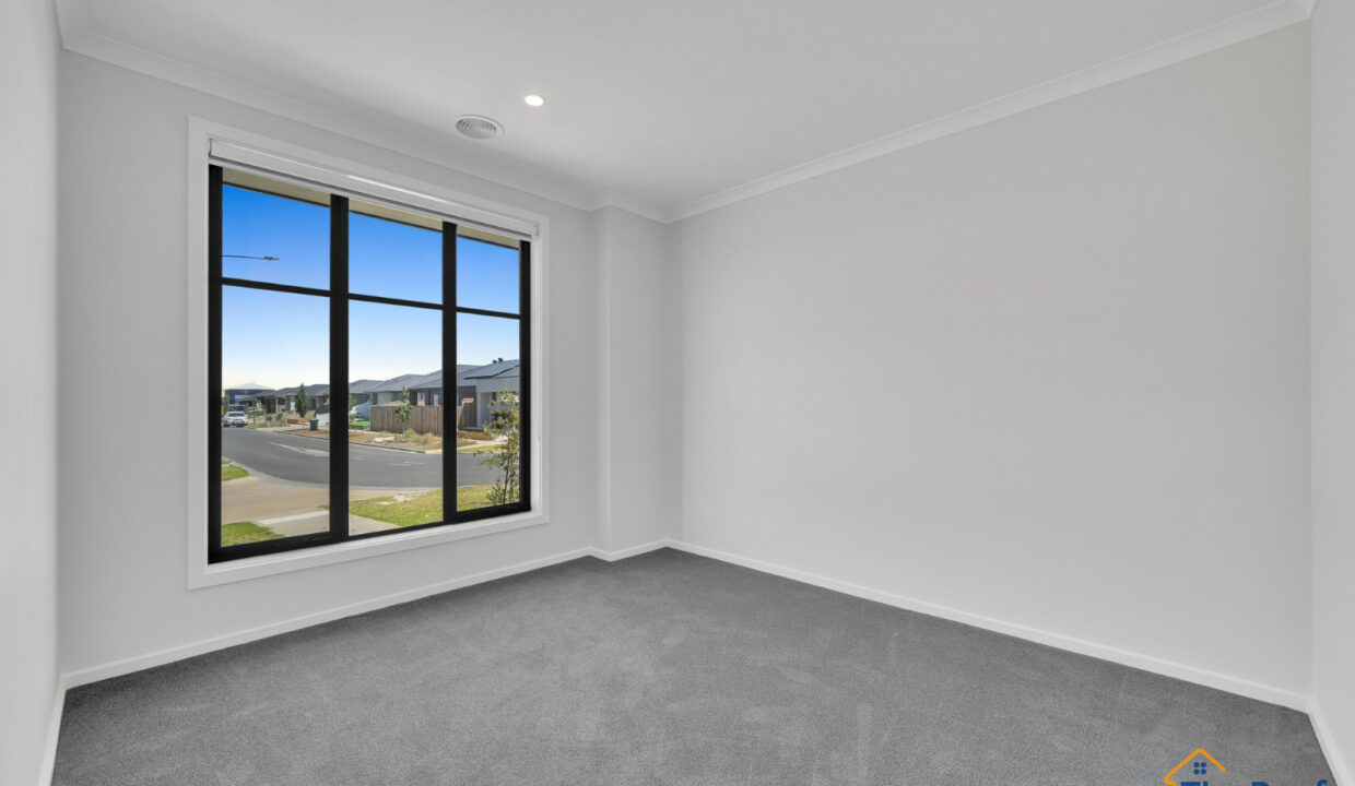 137236732__1740542692-164239-1