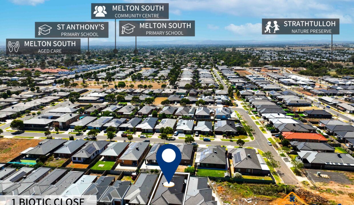 137236770__1740542698-175633-3