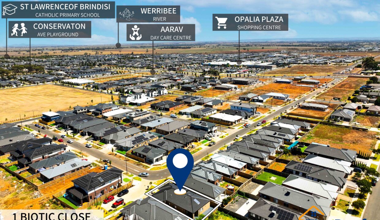 137236772__1740542702-175881-5