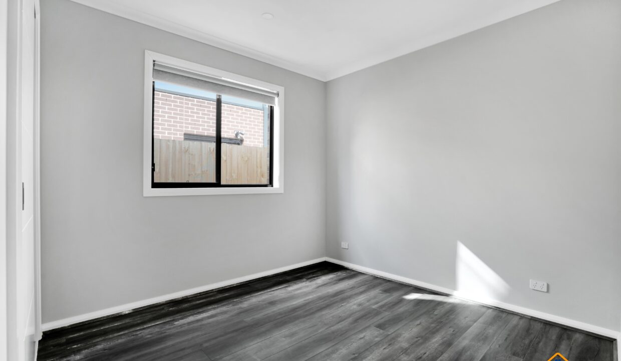 135482955__1739420354-135482955__1739420104-135482955__1739420039-163675-03