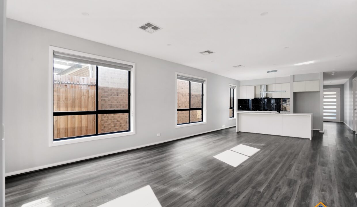 135483068__1739420354-135483068__1739420105-135483068__1739420066-163741-010