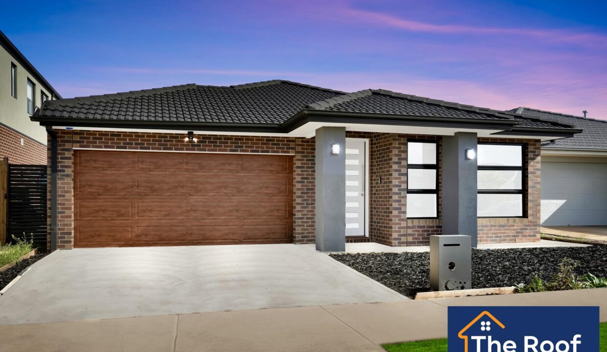 135485748__1739421525-179104-02