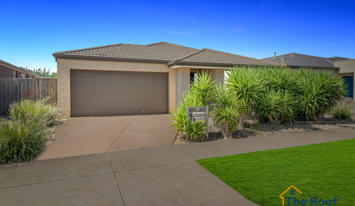 138269686__1741140686-161332-15GRASS