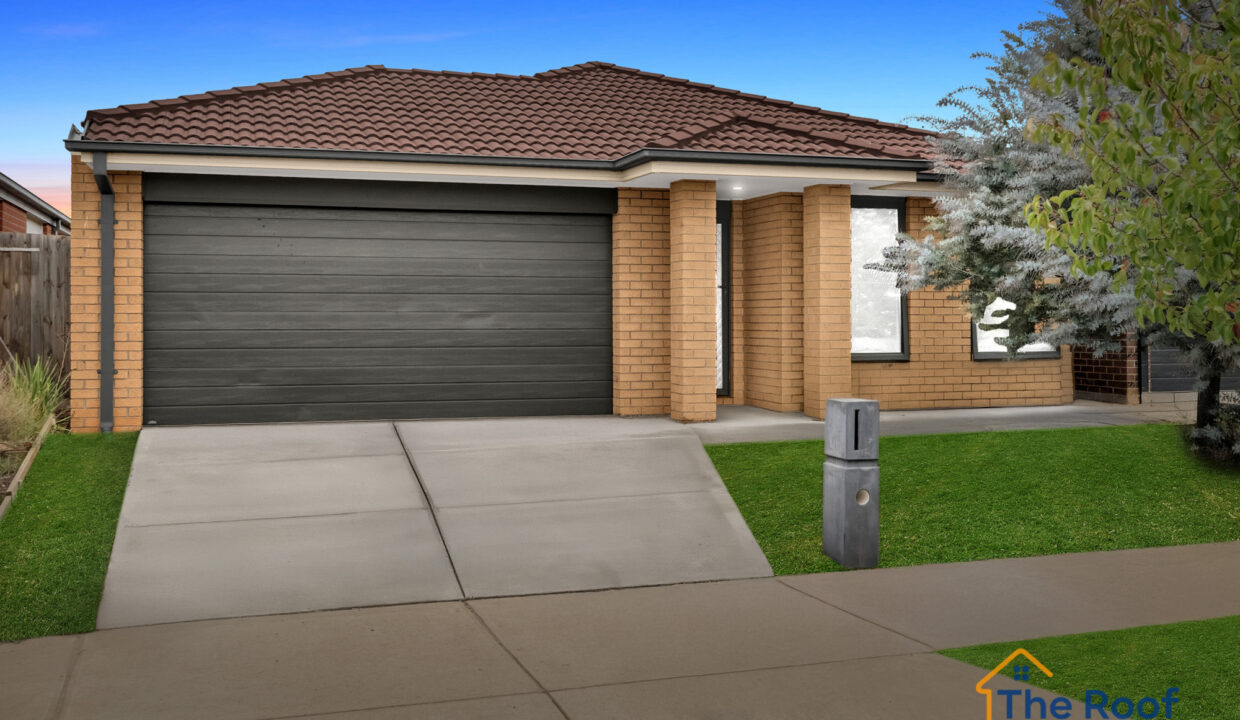 146011607__1746076180-123666-014GRASS