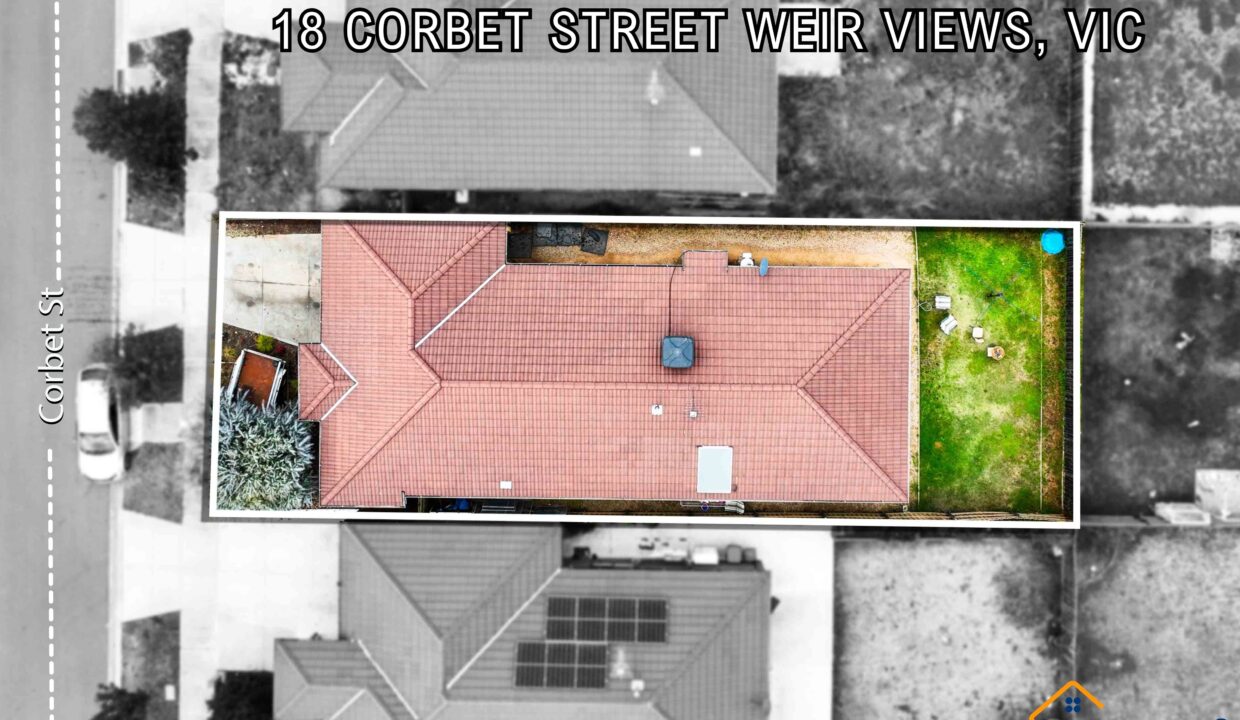 146020067__1746082068-91359-1