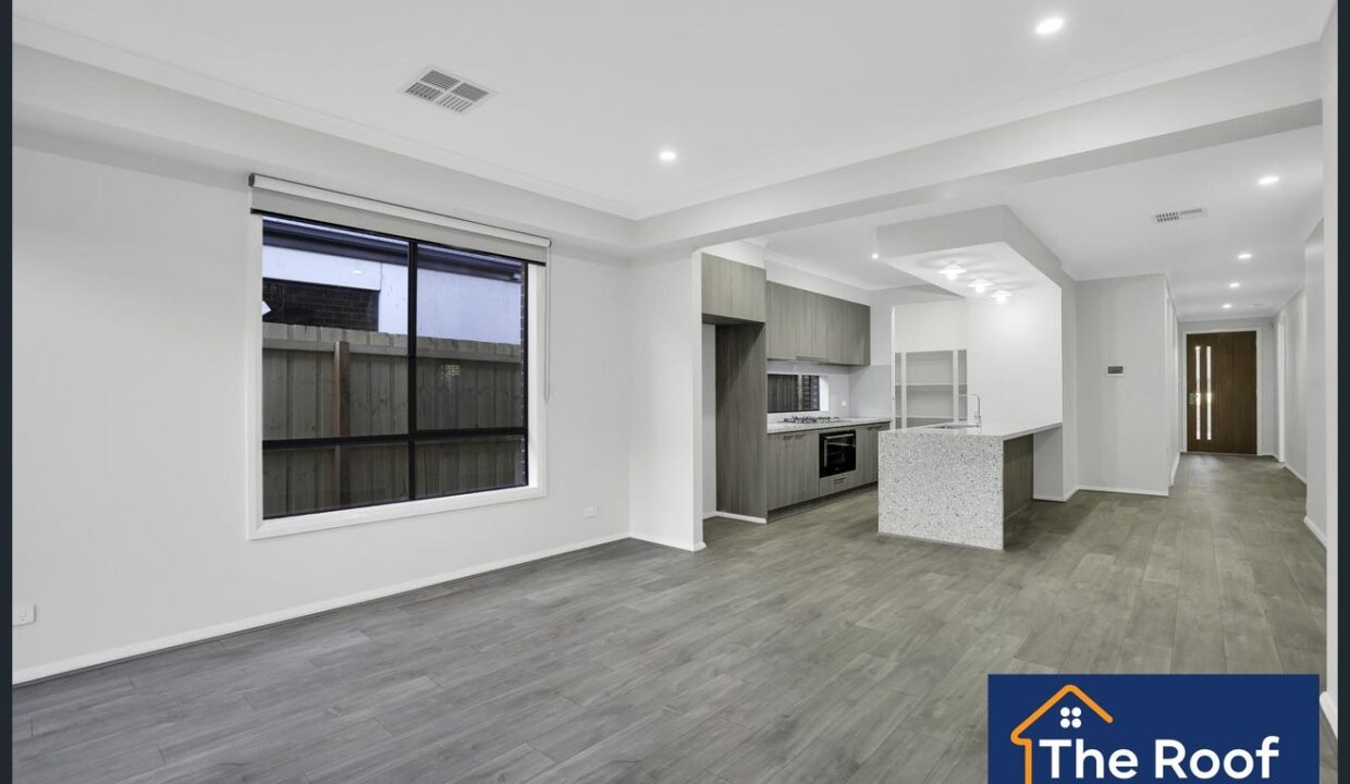 147968318__1747286424-78396-image3