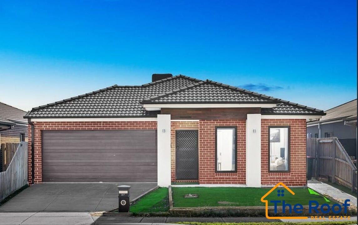 152831354__1750828086-152831354__1750827181-64505-main1