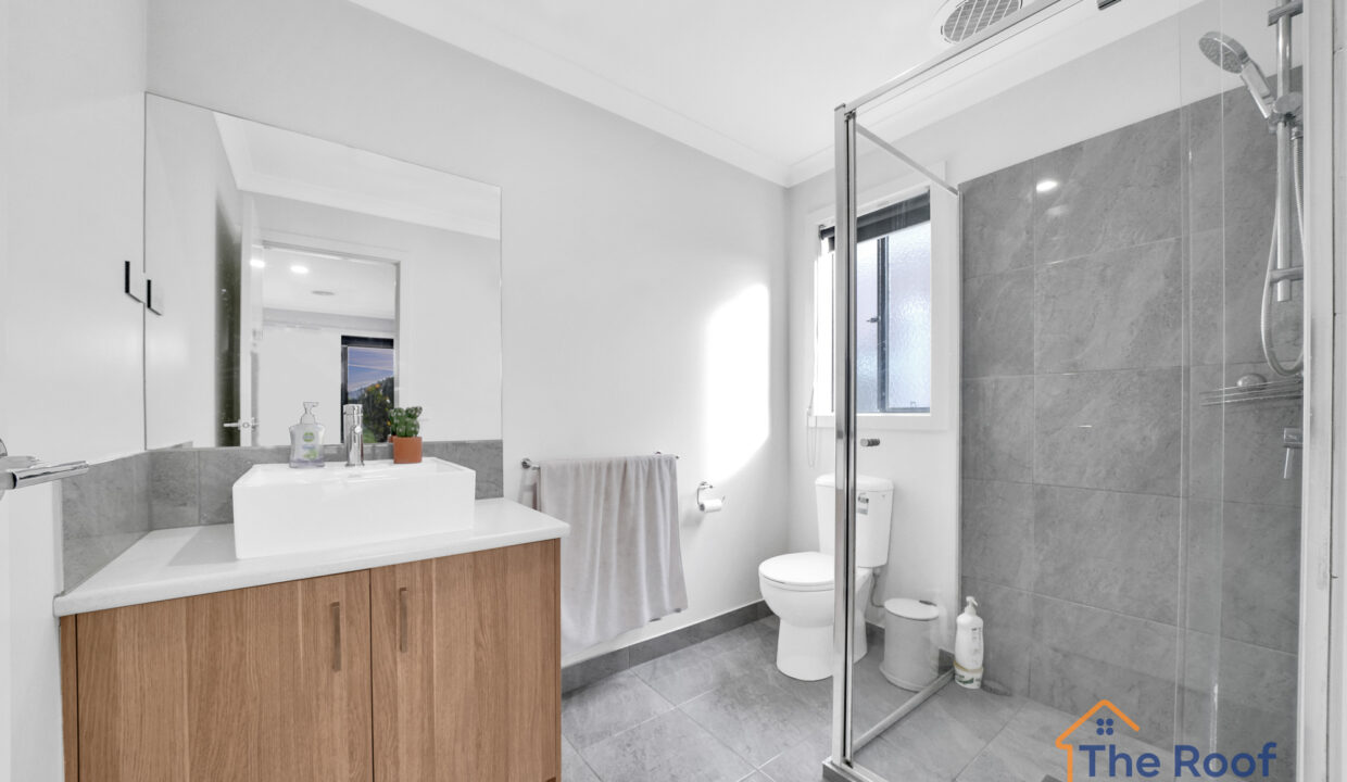 154452416__1751864683-80365-02