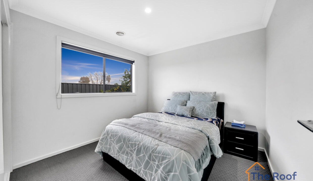 154452419__1751864685-80436-03