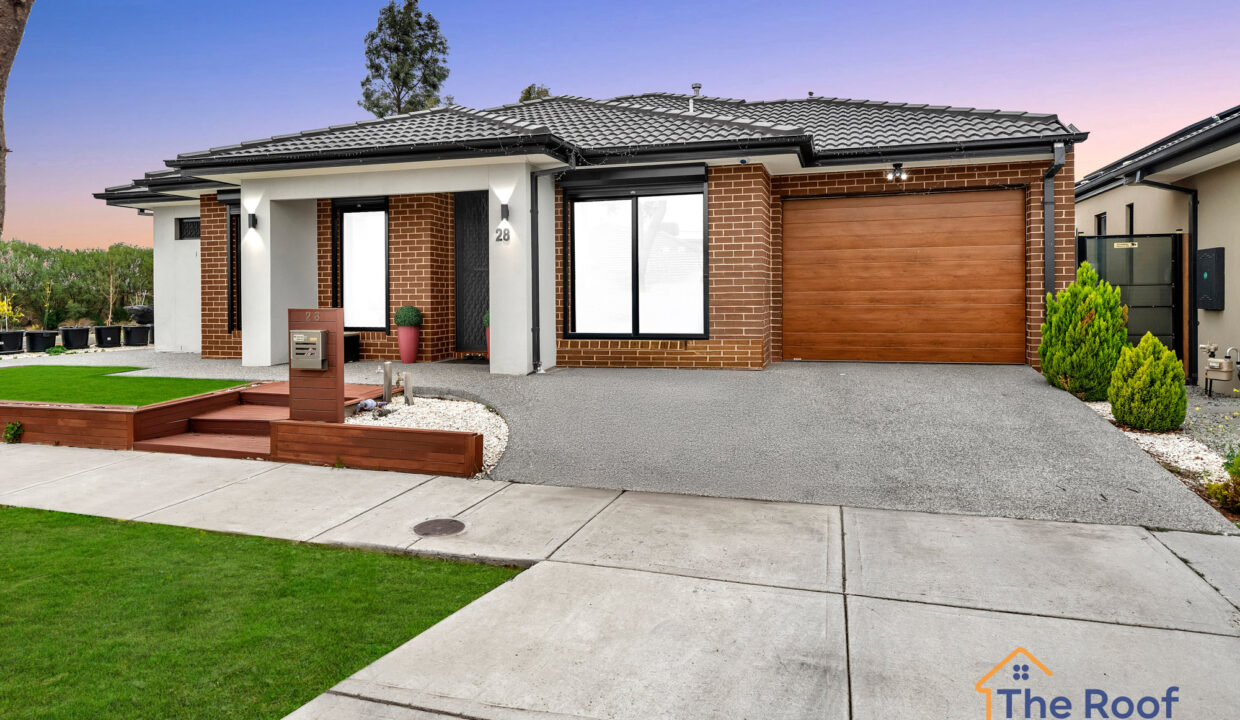 157032677__1753672704-58465-017GRASS