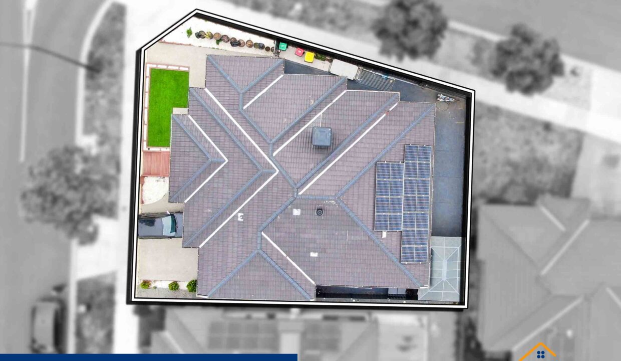 157901222__1754029113-75312-1