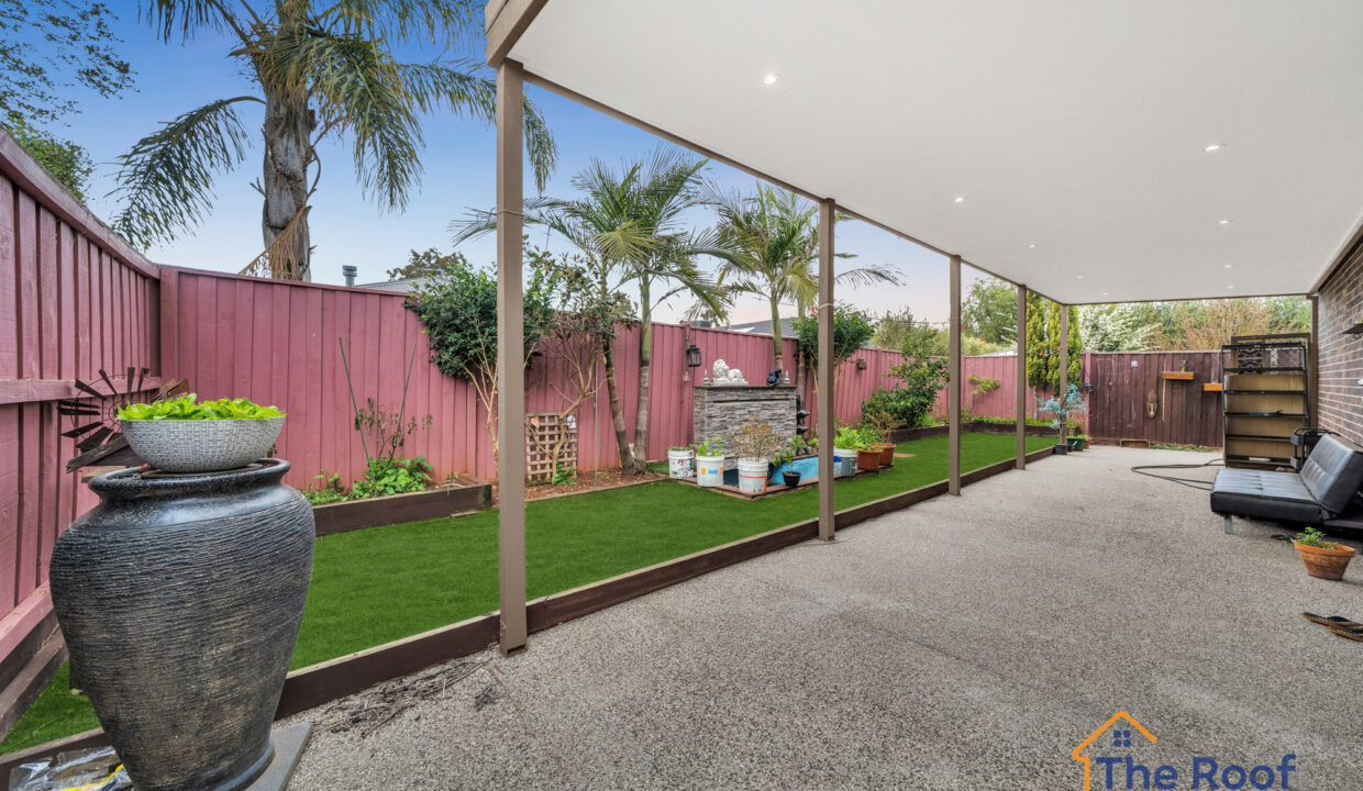 163464215__1757916808-105707-OSMEDIA-14Grass