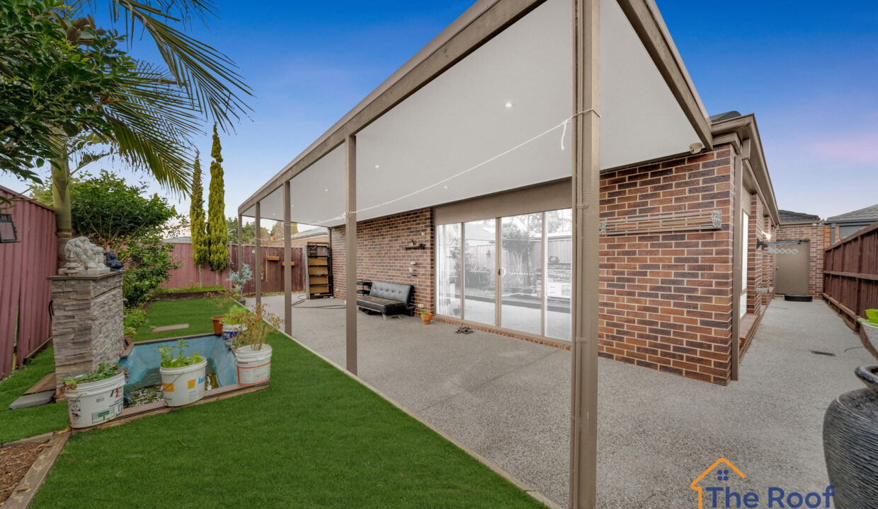 163464217__1757916810-105939-OSMEDIA-13Grass