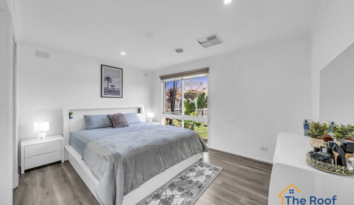 163899161__1758078826-71881-OSMEDIA-1