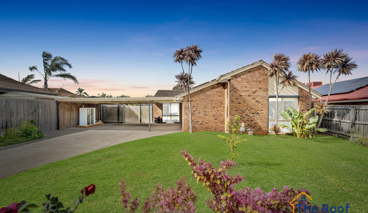 163899301__1758078849-72090-OSMEDIA-13GRASS