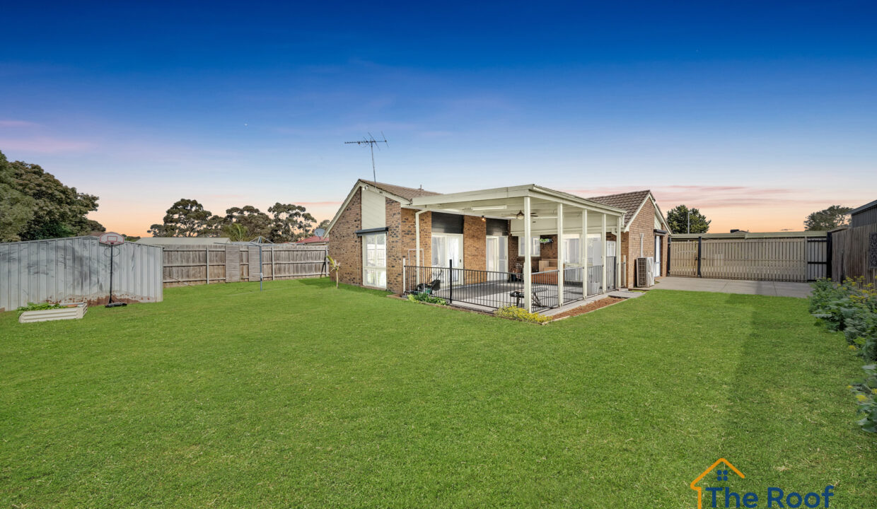 163899323__1758078855-60145-OSMEDIA-15GRASS