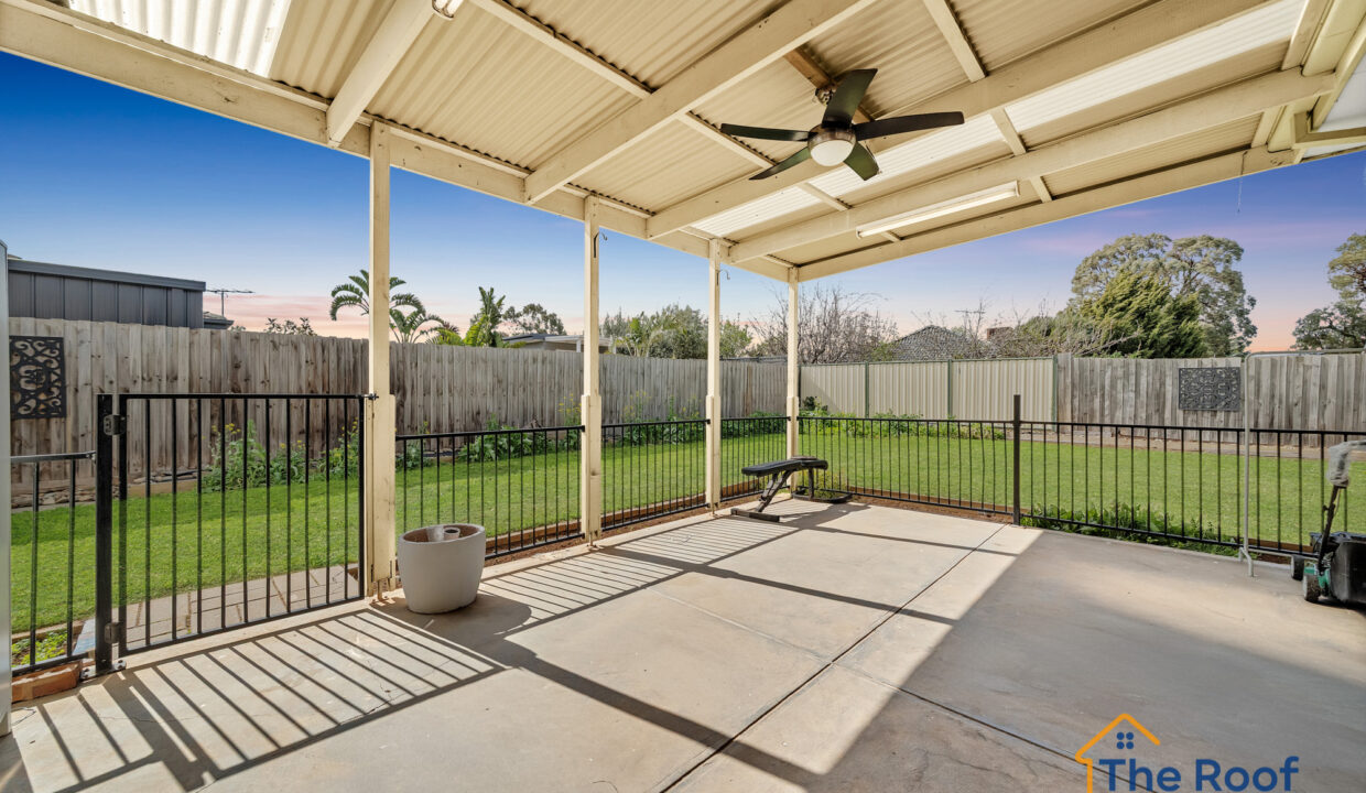 163901964__1758079280-73254-OSMEDIA-16GRASS