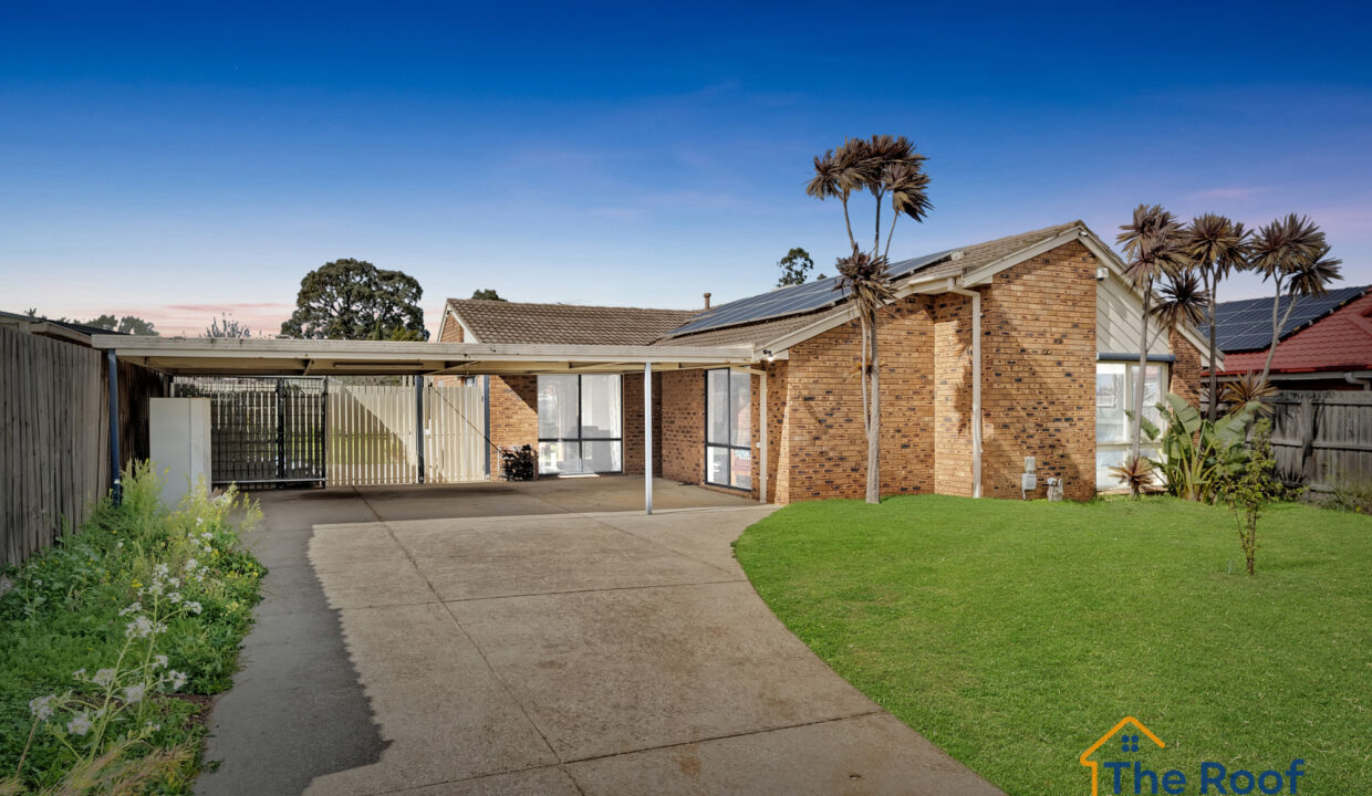 163902008__1758079290-73099-OSMEDIA-14GRASS