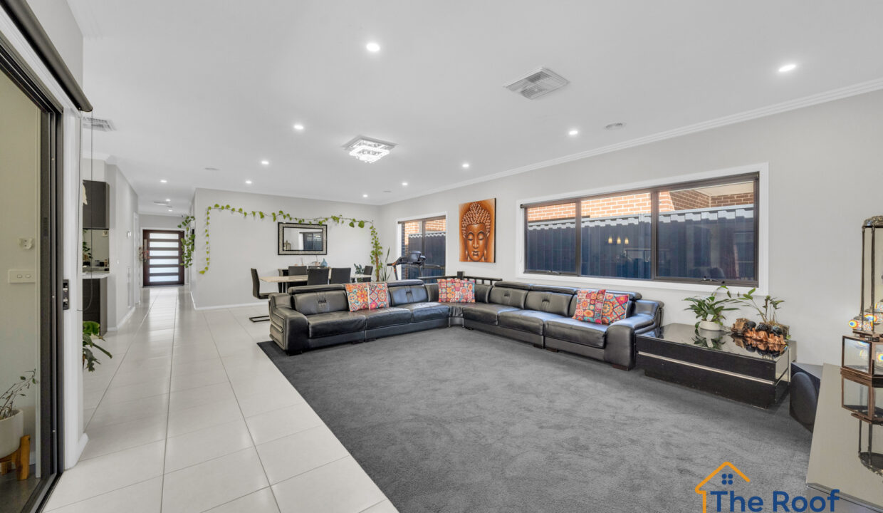 163925587__1758082871-70852-OSMEDIA-121