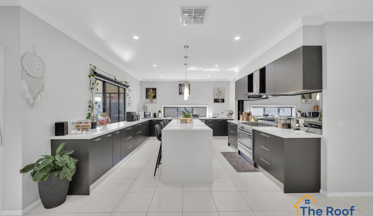 163925623__1758082876-82676-OSMEDIA-101