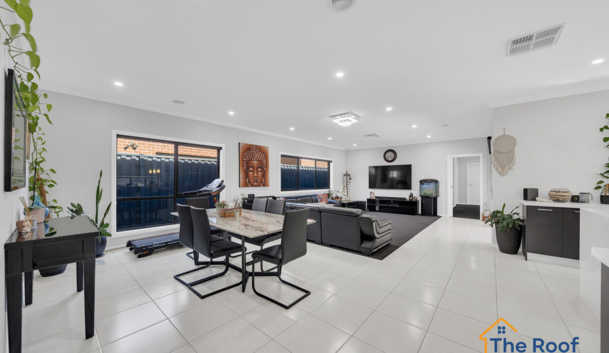 163925649__1758082879-83013-OSMEDIA-81