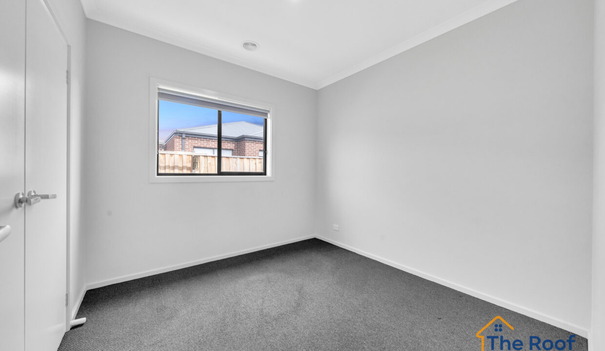 166813377__1759804558-74866-OSMEDIA-7