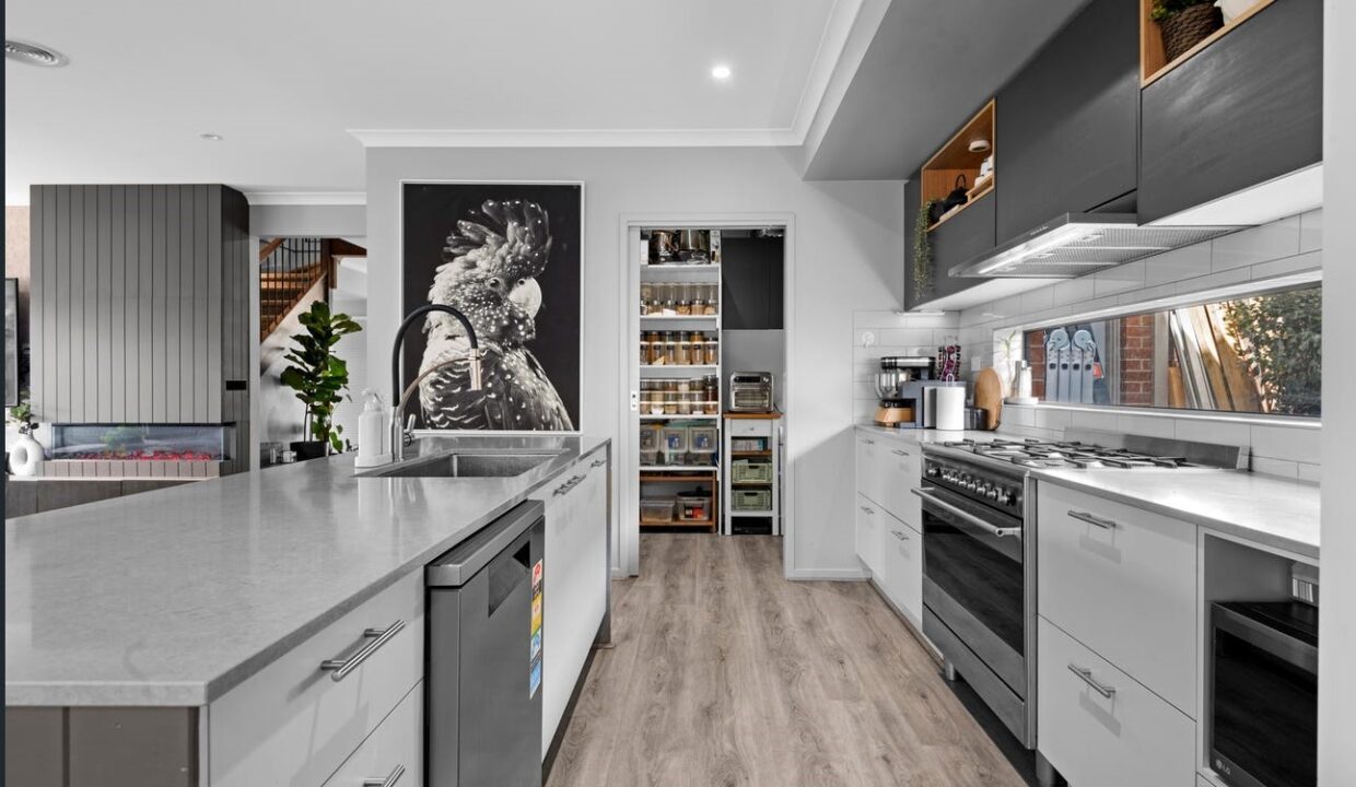 166855232__1759817289-97460-image10