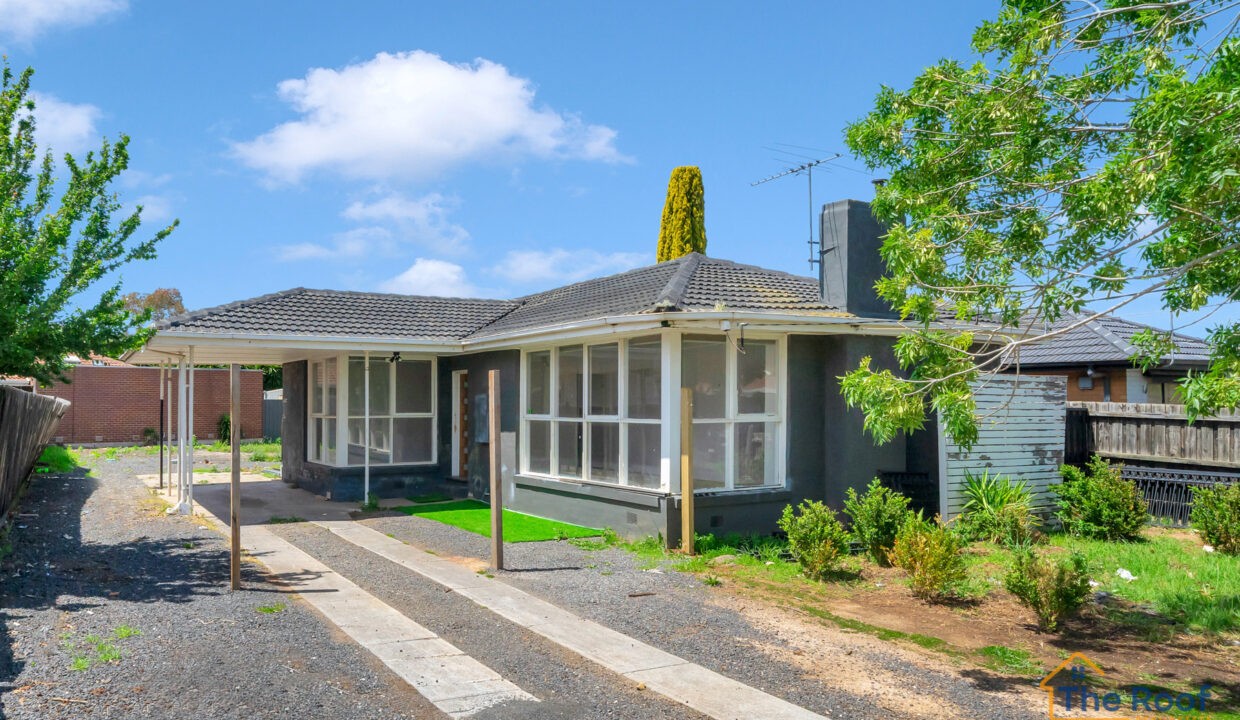 173726348__1762504933-104605-DSC05268