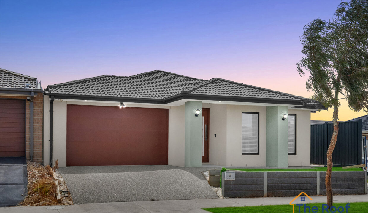 174898404__1763089840-60358-OSMEDIA-16GRASS