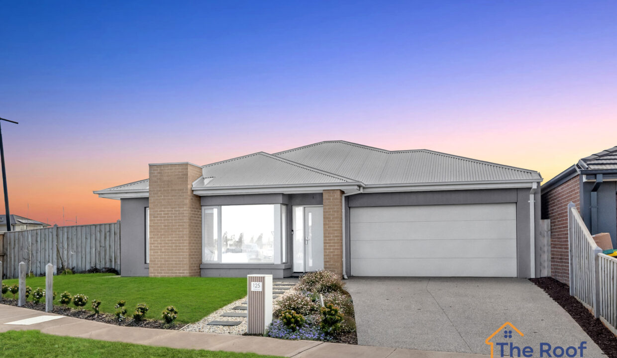 169636634__1761277359-77331-OSMEDIA-17GRASS