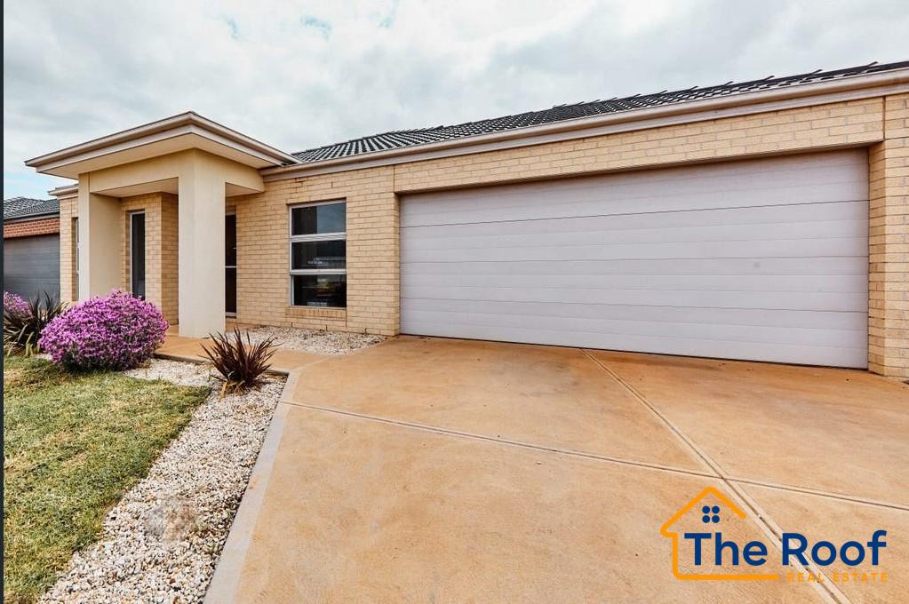 178580837__1764906497-178580837__1764906352-76706-image2