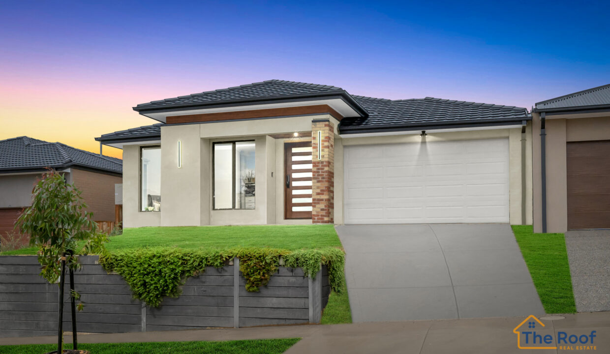 181175789__1766717801-52850-Osmedia17GrassDeclutter