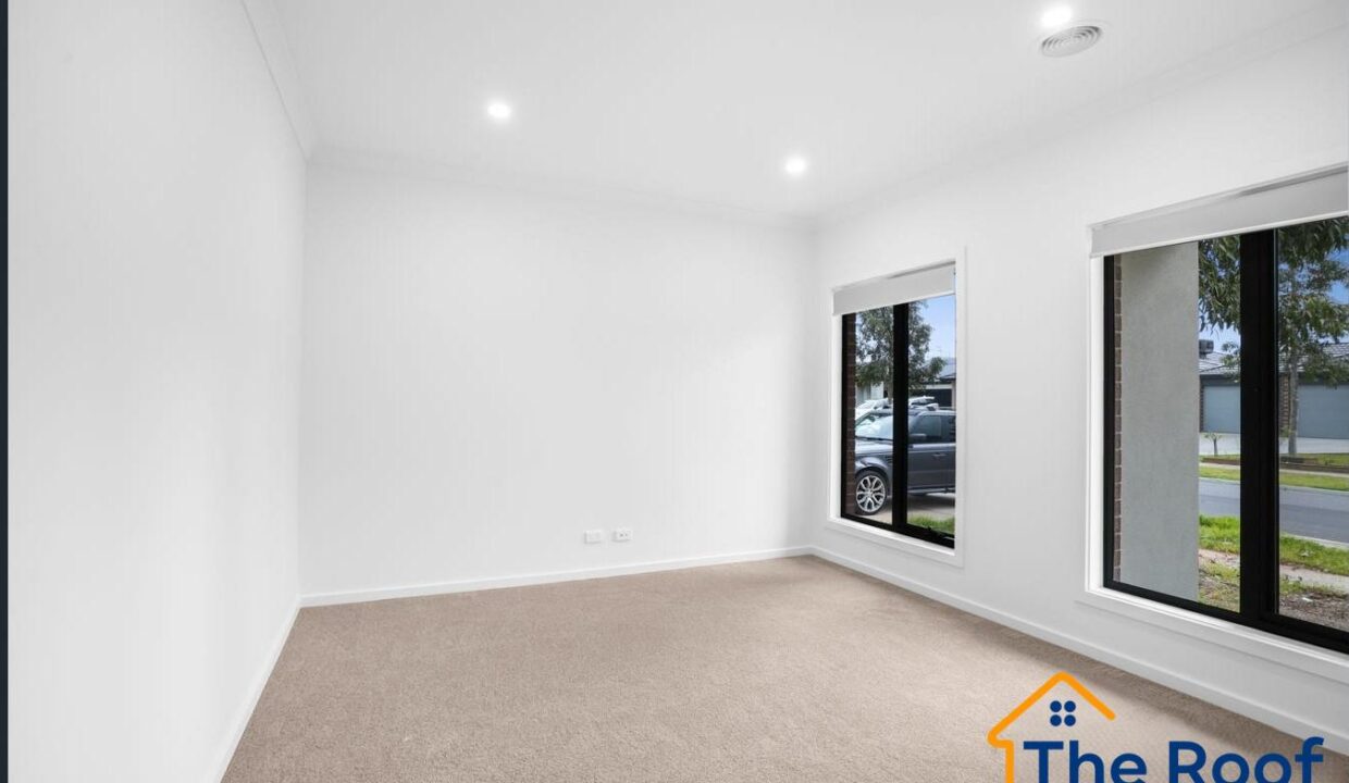 183010137__1768787008-183010137__1768786959-62919-image3