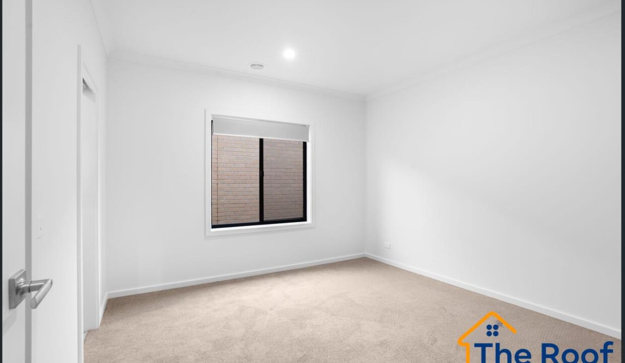 183010147__1768787008-183010147__1768786962-182360-image4