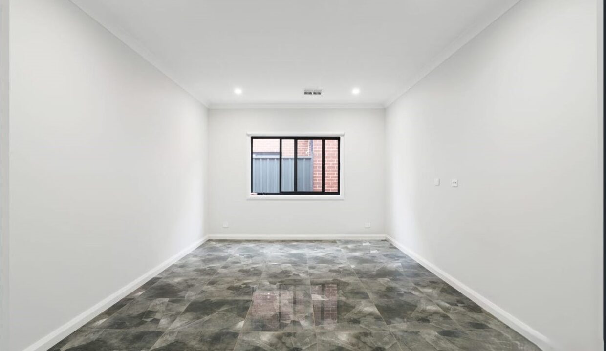 183534724__1768965320-61984-image1