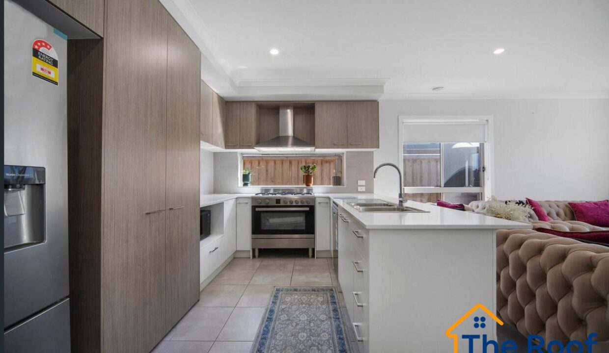 185568729__1770173331-185568729__1770172819-73020-image2