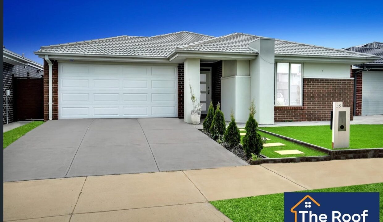 183881885__1769135967-53822-image2