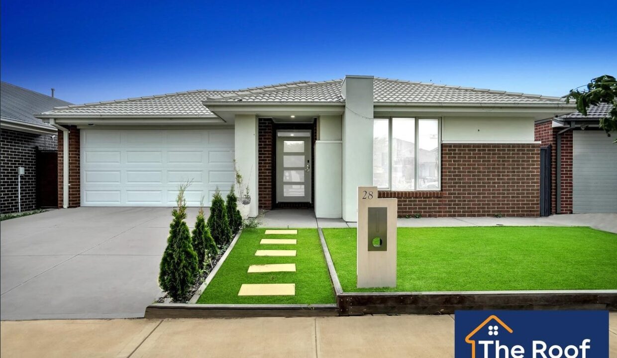 183881925__1769135981-53933-main1