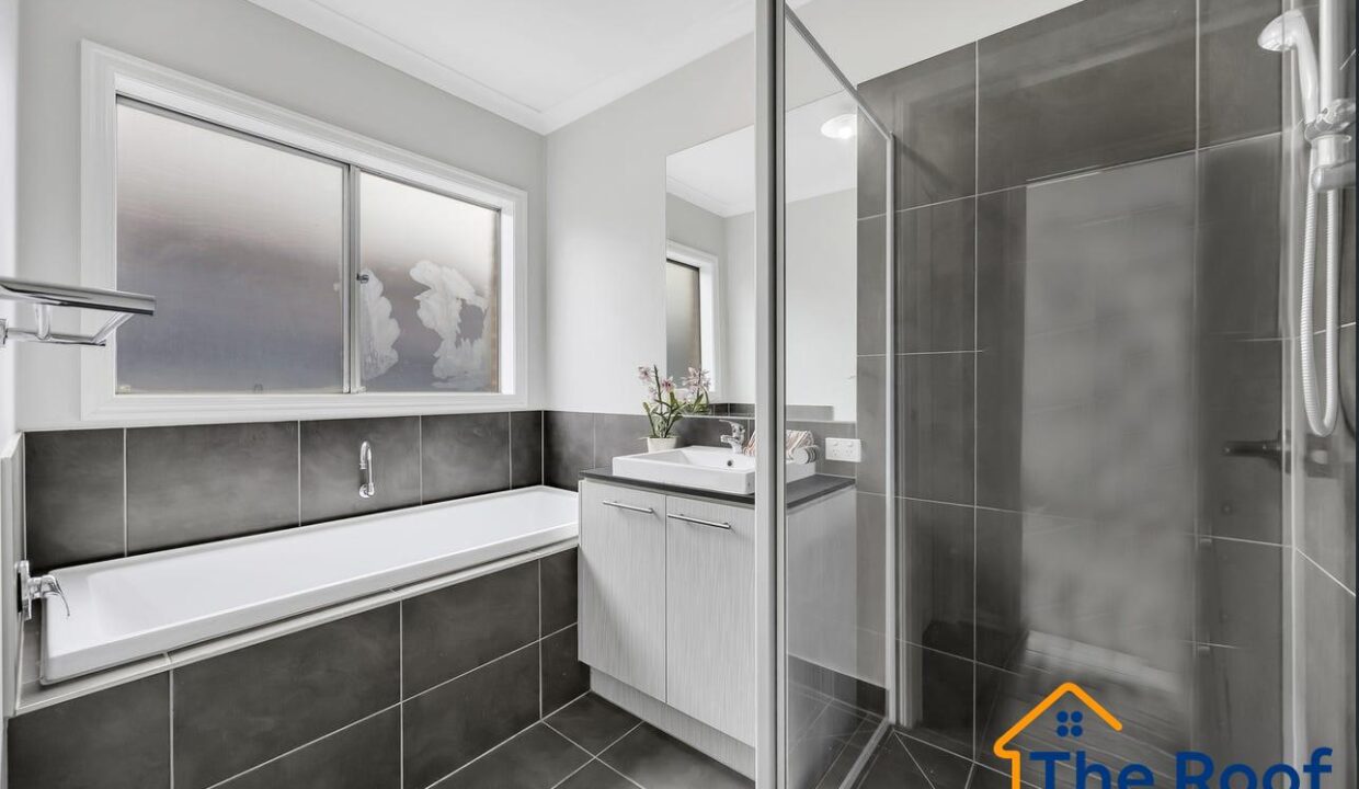 184737102__1769665515-184737102__1769665156-99100-image1