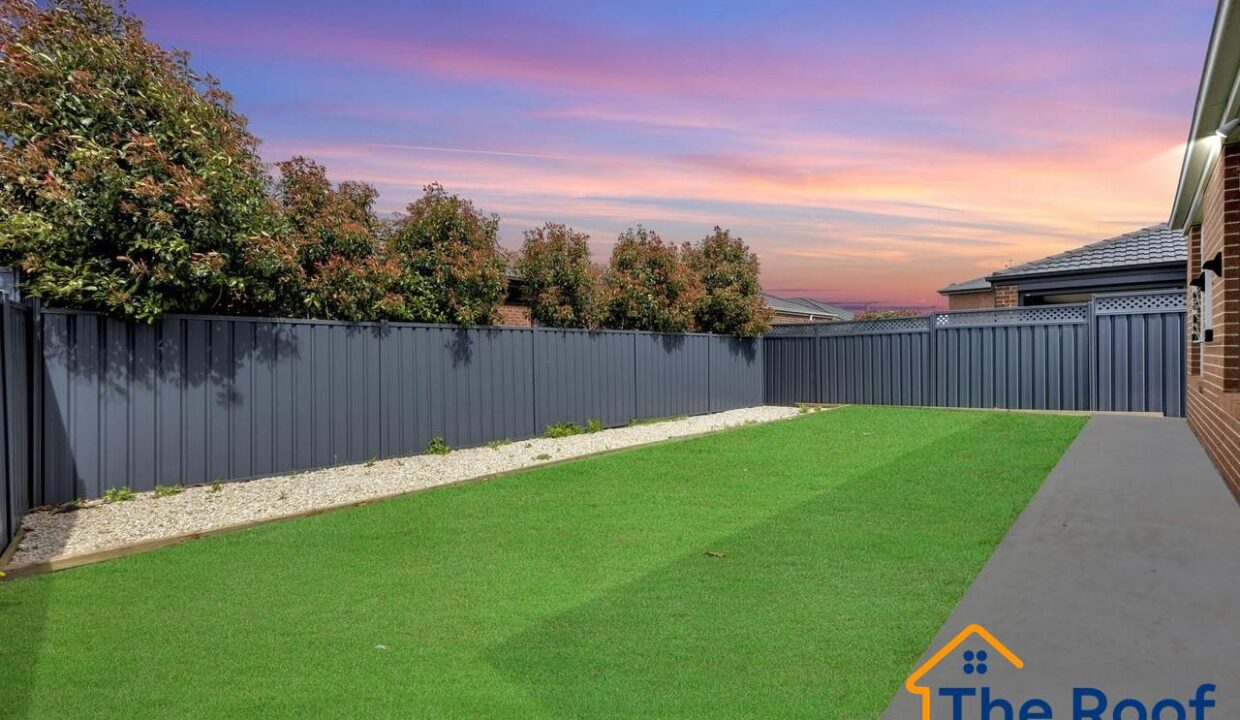 184737105__1769665515-184737105__1769665159-98817-image3