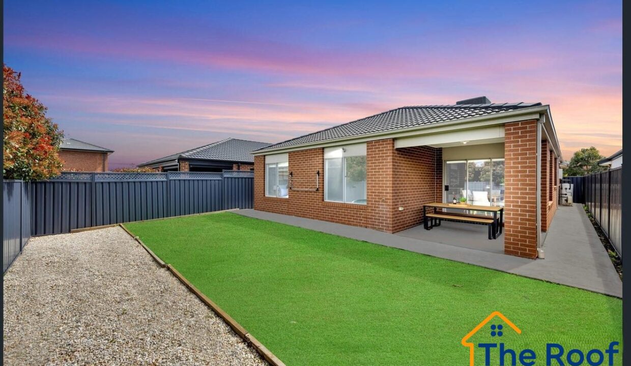 184737106__1769665515-184737106__1769665161-86136-image4