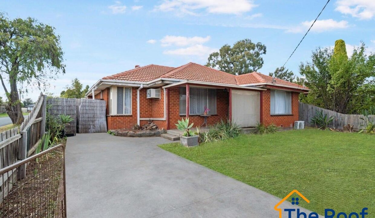 185404894__1770094533-185404894__1770094520-290024-main