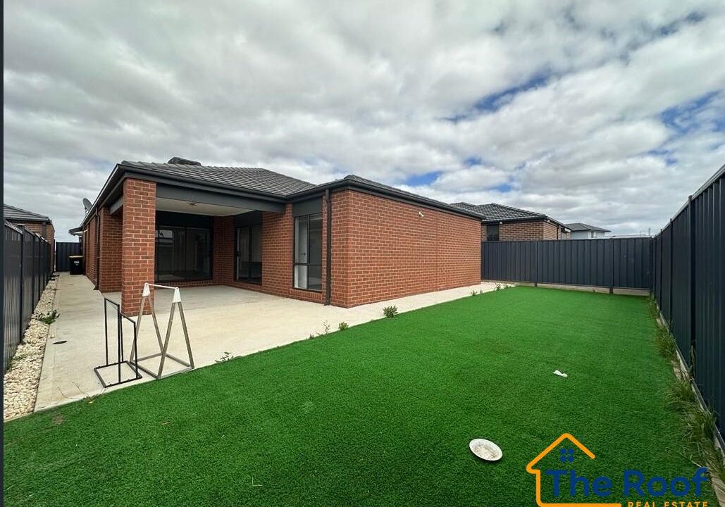 186381165__1770697695-186381165__1770697170-88443-image7