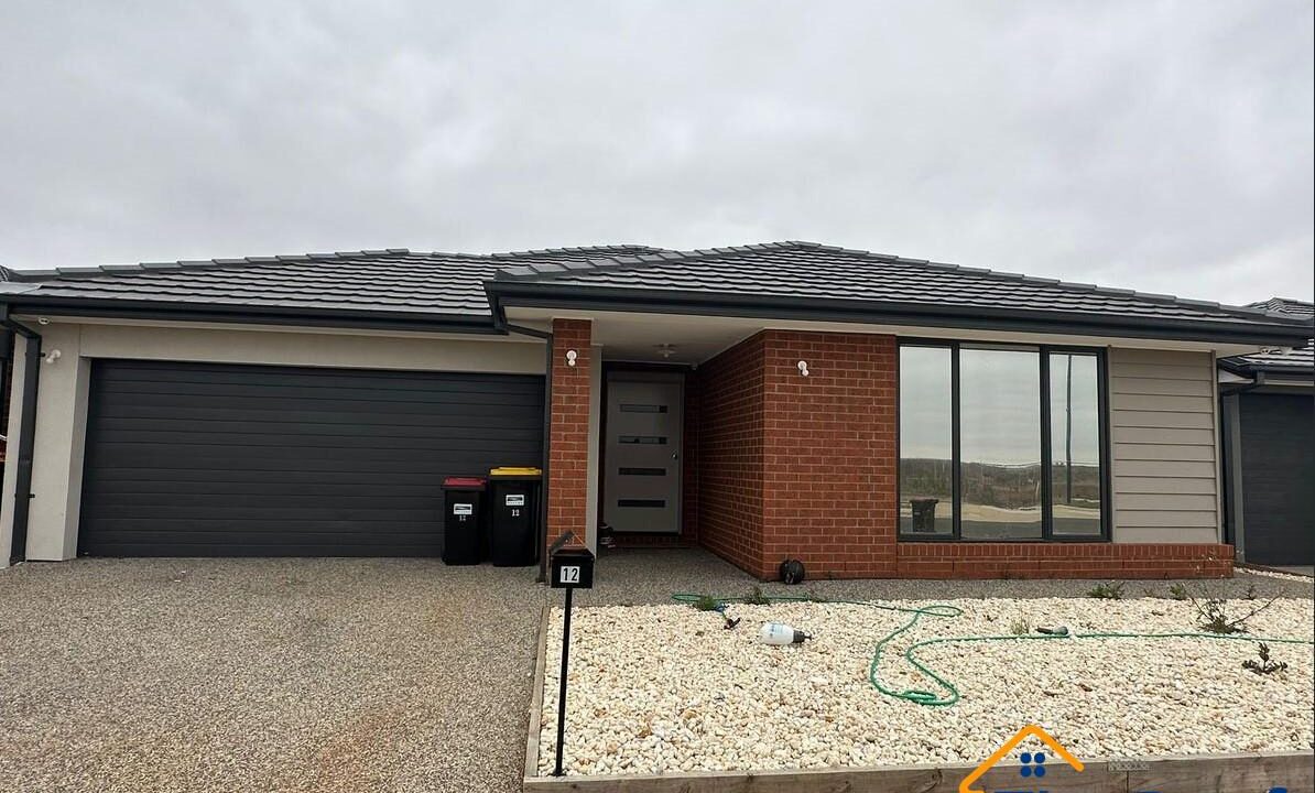 186381208__1770697695-186381208__1770697201-88548-main